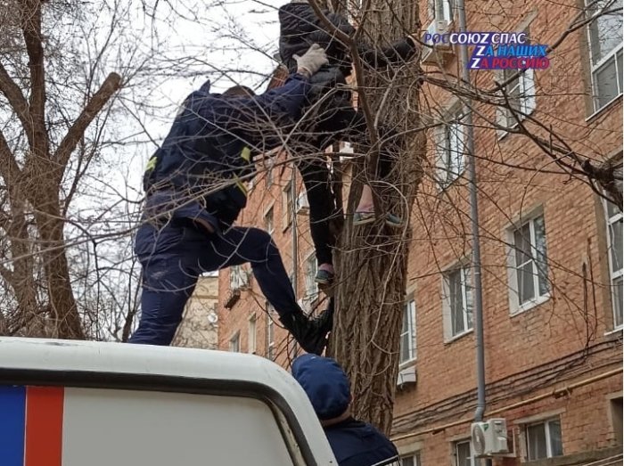 Астраханские спасатели сняли с дерева женщину